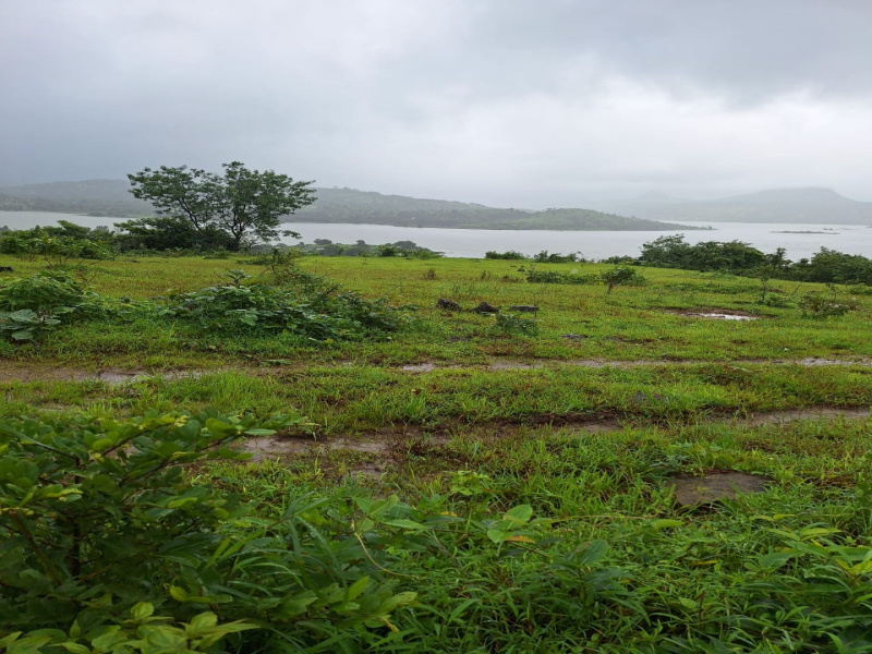  Agricultural Land 13 Acre for Sale in Pavana Lake, Pune