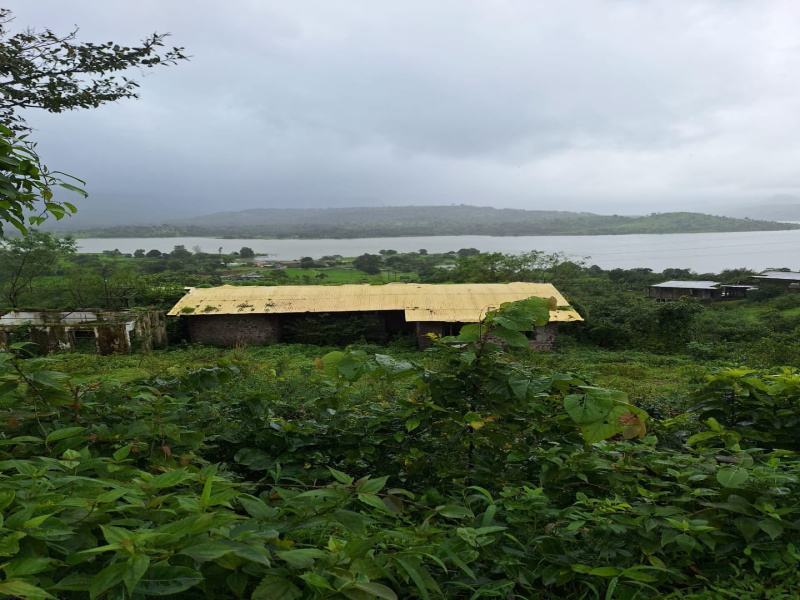  Agricultural Land 13 Acre for Sale in Pavana Lake, Pune