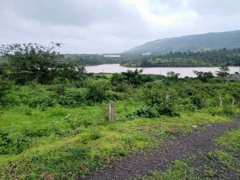  Residential Plot 25000 Sq.ft. for Sale in Maval, Pune