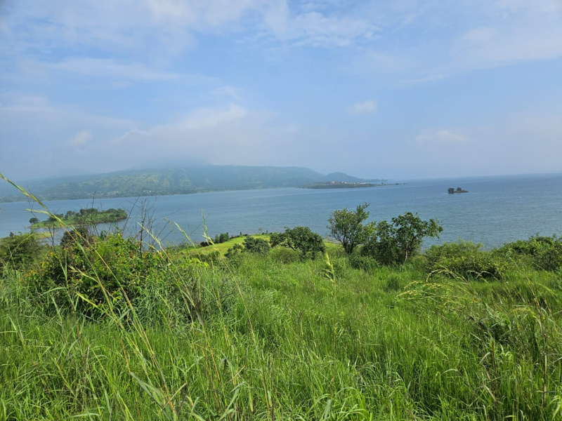  Agricultural Land 40 Guntha for Sale in Pavana Lake, Pune