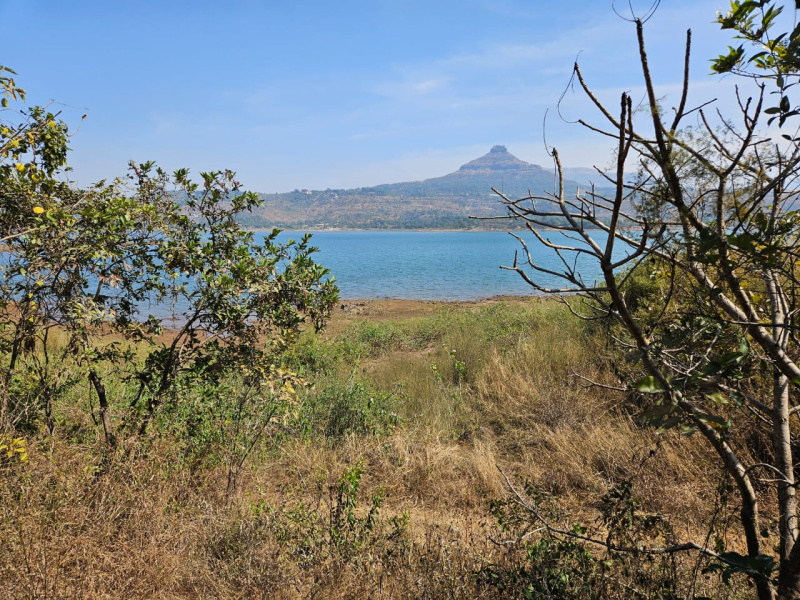  Agricultural Land 40 Guntha for Sale in Pavana Lake, Pune