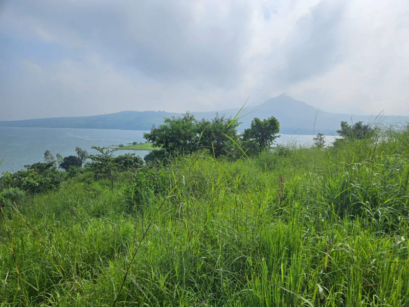  Agricultural Land 40 Guntha for Sale in Pavana Lake, Pune