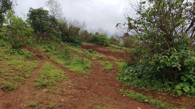  Agricultural Land 60 Acre for Sale in Bhor, Pune