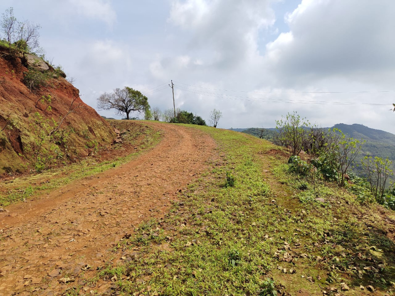  Agricultural Land 450 Acre for Sale in Bhor, Pune