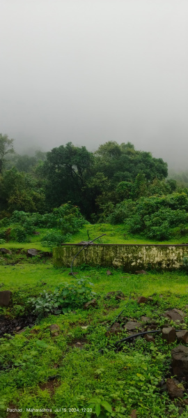  Agricultural Land 80 Acre for Sale in Mahad, Raigad