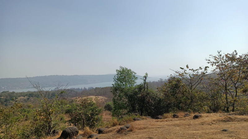  Agricultural Land 20000 Sq.ft. for Sale in Harihareshwar, Raigad