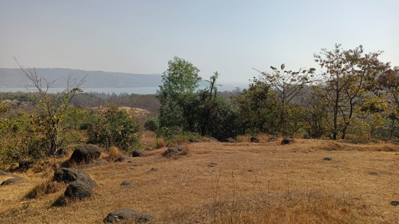  Agricultural Land 20000 Sq.ft. for Sale in Harihareshwar, Raigad