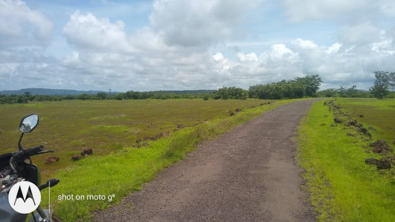  Agricultural Land 1200 Acre for Sale in Chiplun, Ratnagiri