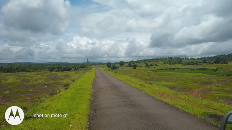  Agricultural Land 1200 Acre for Sale in Chiplun, Ratnagiri