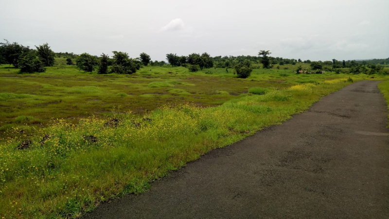  Agricultural Land 1200 Acre for Sale in Chiplun, Ratnagiri