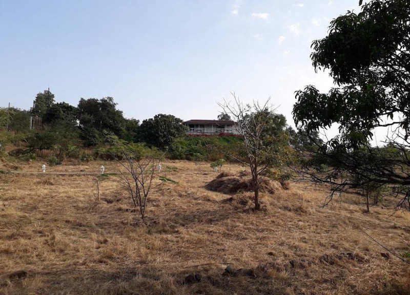  Residential Plot 1000 Acre for Sale in Sudhagad, Raigad