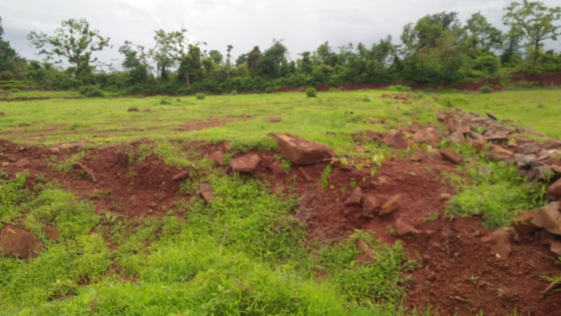  Agricultural Land 1500 Acre for Sale in Chiplun, Ratnagiri