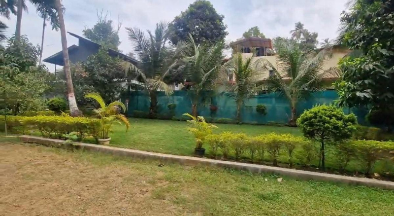  Residential Plot 41 Guntha for Sale in Alibag, Raigad