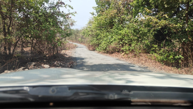 Agricultural Land 19 Acre for Sale in Mahad, Raigad