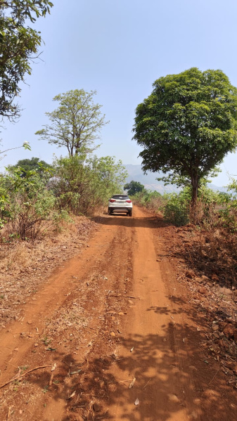  Agricultural Land 19 Acre for Sale in Mahad, Raigad