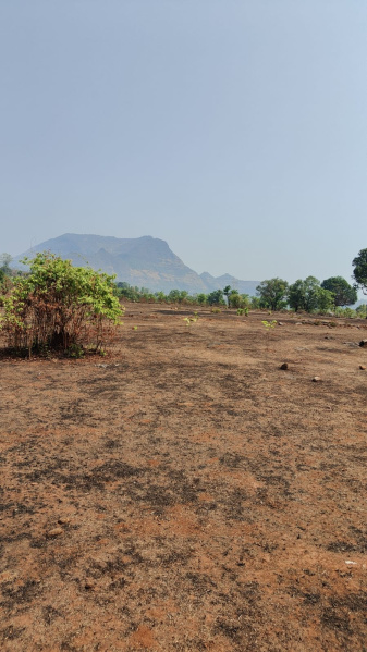  Agricultural Land 19 Acre for Sale in Mahad, Raigad
