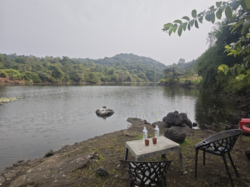  1800 Sq.ft. Residential Plot for Sale in Pali, Raigad