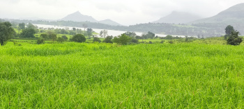  Agricultural Land for Sale in Igatpuri, Nashik