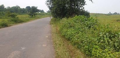  Commercial Land for Sale in Mokhada, Thane