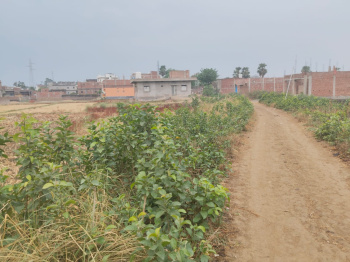  Residential Plot for Sale in Bodh Gaya
