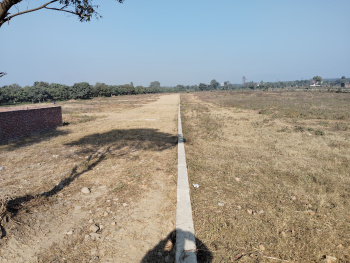  Residential Plot for Sale in Selaqui, Dehradun