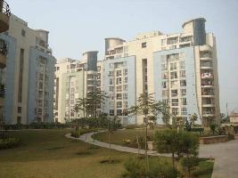 4 BHK Flat for Rent in Sector 44 Noida