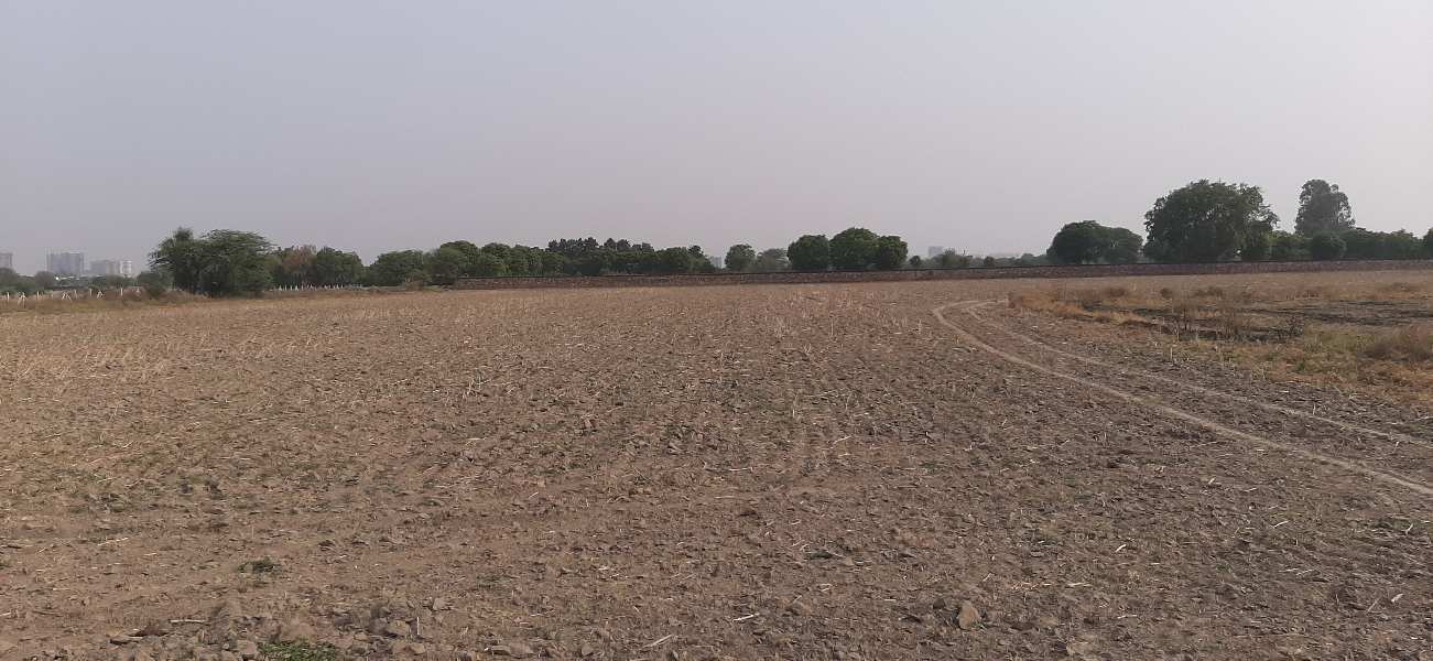 Agricultural Land 3 Acre for Sale in Kangan Heri, Delhi
