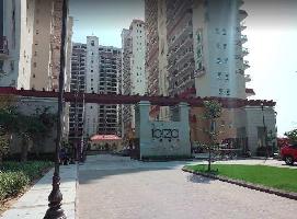 3 BHK Flat for Sale in Surajkund, Faridabad