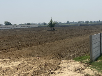  Industrial Land for Sale in Aligarh Road, Palwal