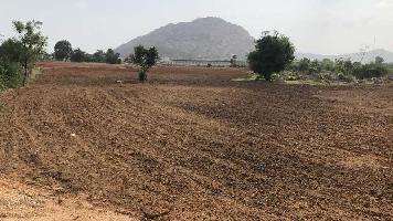  Agricultural Land for Sale in Kalwakurthy, Mahbubnagar