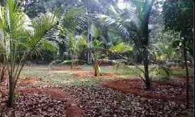  Agricultural Land for Sale in Sooranad North, Kollam