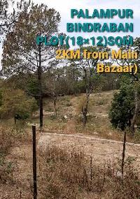 Residential Plot for Sale in Palampur Road, Dharamsala