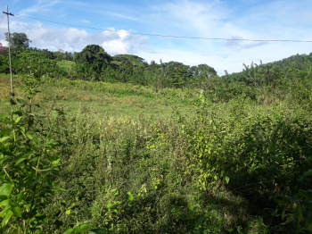  Agricultural Land for Sale in Ferrargunj, Andaman