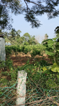 Agricultural Land for Sale in Ramapuram, Thiruvallur