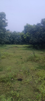  Agricultural Land for Sale in Sunguvarchatram, Kanchipuram