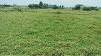  Industrial Land for Sale in Sunguvarchatram, Kanchipuram