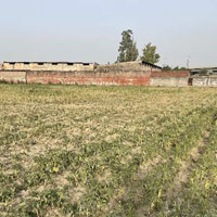  Industrial Land for Sale in Pilkhuwa, Ghaziabad