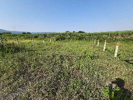  Agricultural Land for Sale in Kasarsai, Pune