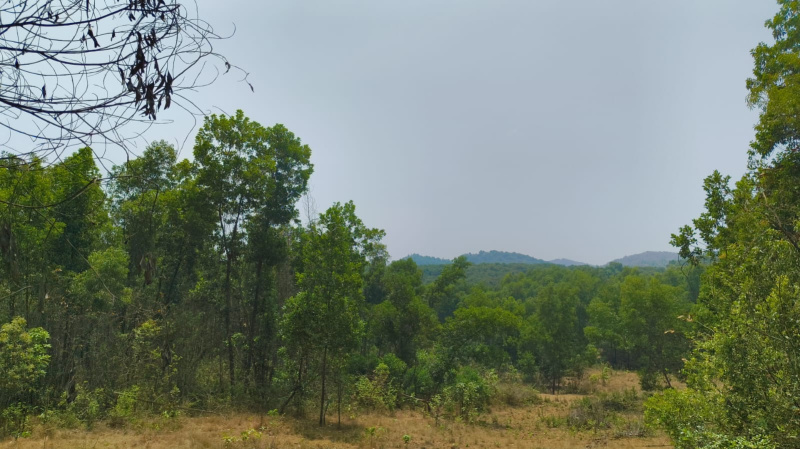  Residential Plot 50 Acre for Sale in Sawantwadi, Sindhudurg