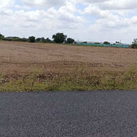  Agricultural Land for Sale in Gobichettipalayam, Erode