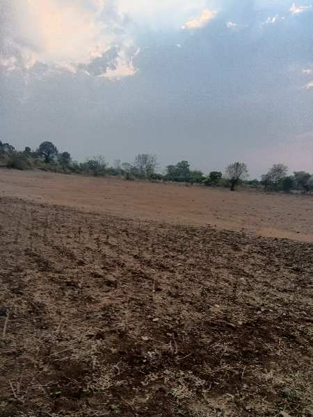 Agricultural Land 4 Acre for Sale in Umred Road, Nagpur