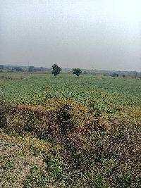  Agricultural Land for Sale in Umred Road, Nagpur