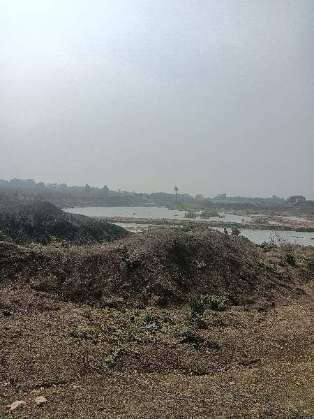 Agricultural Land 7 Acre for Sale in Kondhali, Nagpur