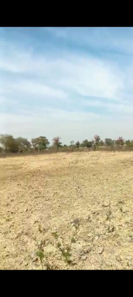  5 Acre Agricultural/Farm Land for Sale in Wardha Road, Nagpur