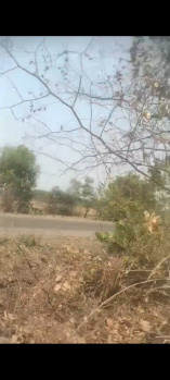  Agricultural Land for Sale in Borgaon, Nagpur
