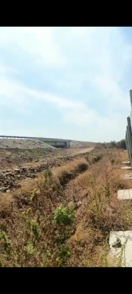  Agricultural Land 3 Acre for Sale in Borgaon, Nagpur