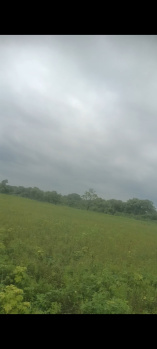  Agricultural Land for Sale in Nagpur Road, Wardha