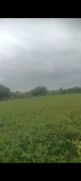  Agricultural Land 3 Acre for Sale in Nagpur Road, Wardha