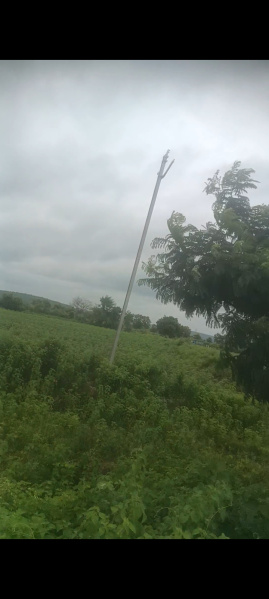  Agricultural Land 2 Acre for Sale in Seloo, Wardha