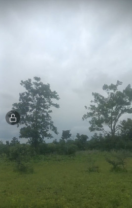  Agricultural Land 5 Acre for Sale in Katol, Nagpur